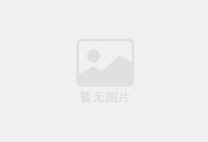 454g优质白砂糖